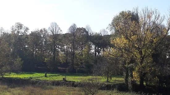 Viale delle Piagge