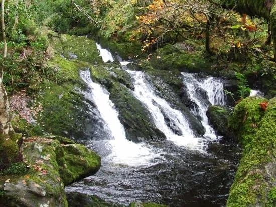 Glengarriff Nature Reserve