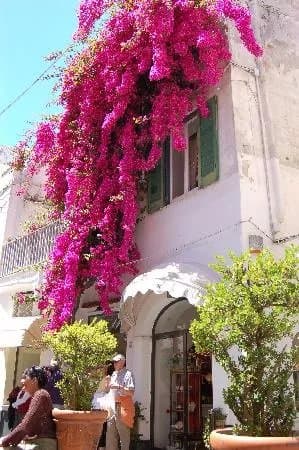 Mondo Guide Private Day Tours
