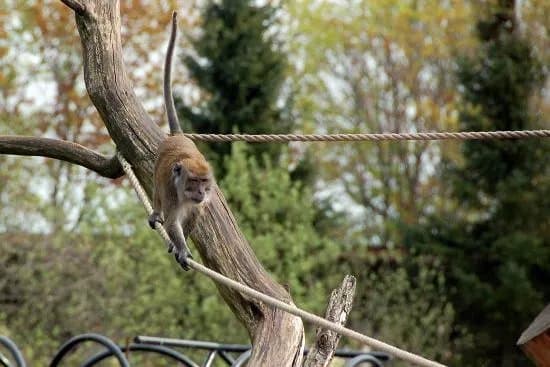 Jyllands Park Zoo