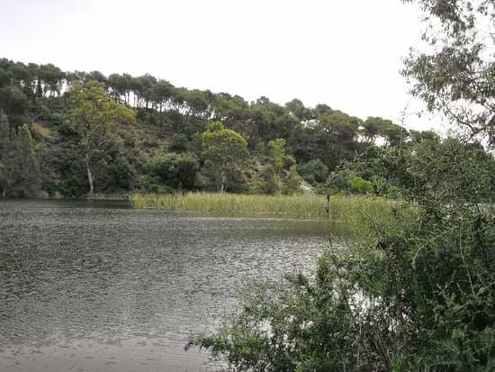 Lago de Las Tortugas
