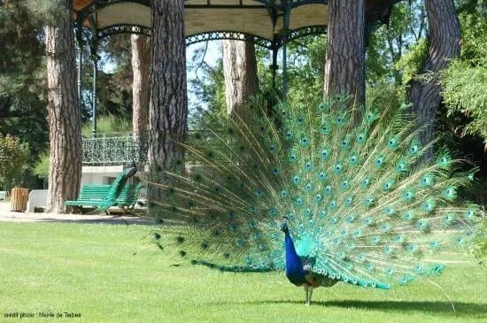Parks & Nature