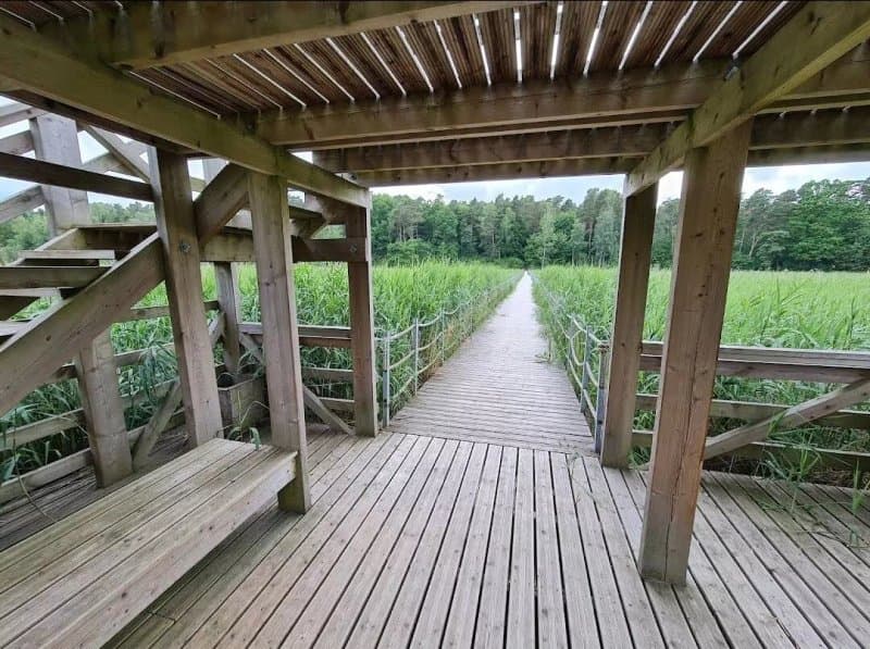 Kazdanga Park Nature Trail