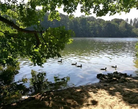 Krumme Lanke