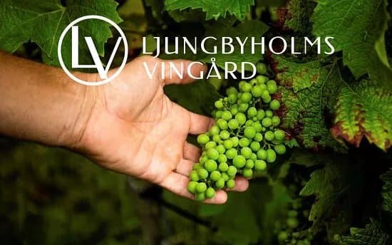 Ljungbyholms Vingard