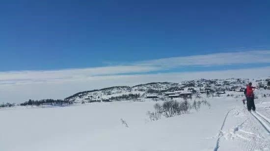 Vierli Terrain Park
