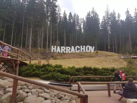 Bobsleigh & MonkeyPark Spindleruv Mlyn a Harrachov.