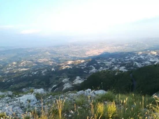 Uljara Tonin