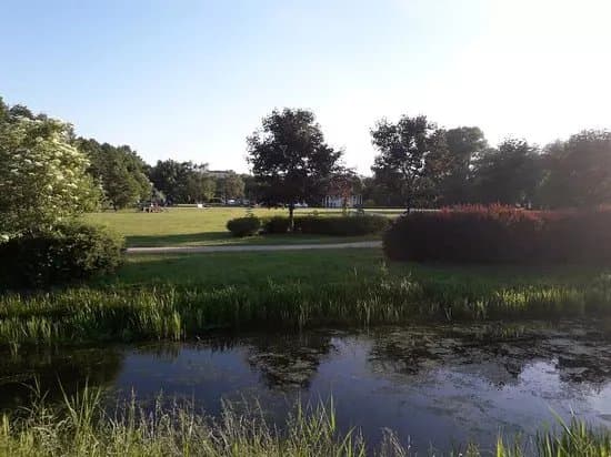 Anielin Wschodni Park