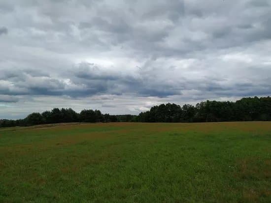 Rezerwat Przyrody Ostrow Tarczynski
