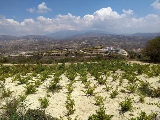 Monolithos Winery