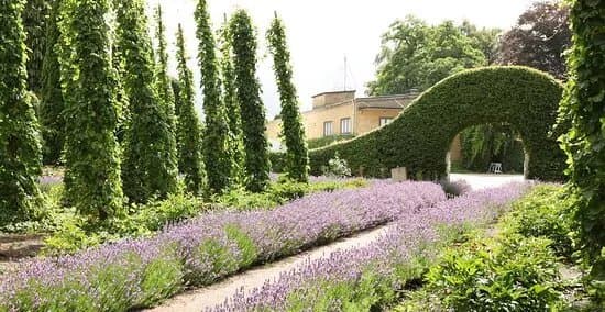 Humlemagasinet