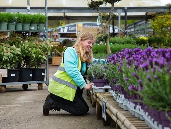 Chessington Garden Centre