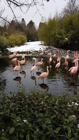 Zoo Zurich
