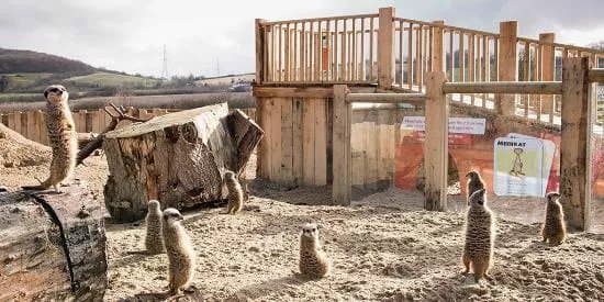 Lee Valley Animal Adventure Park