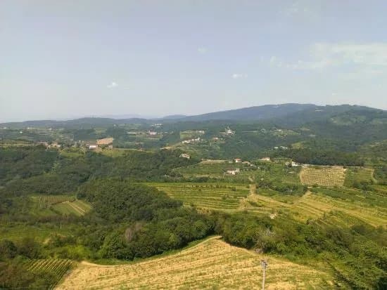 Loopy Slovenia
