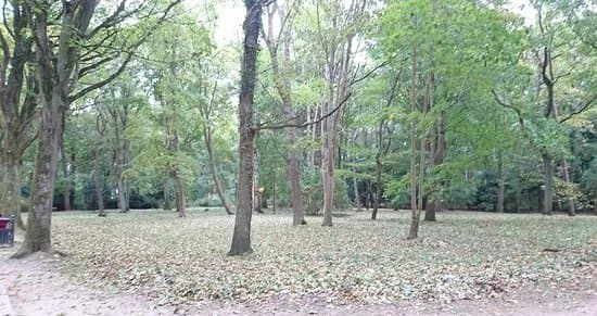 Park im. Jednosci Narodowej