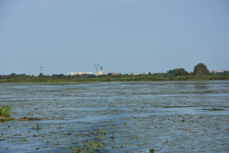 Druzno Lake Nature Reserve