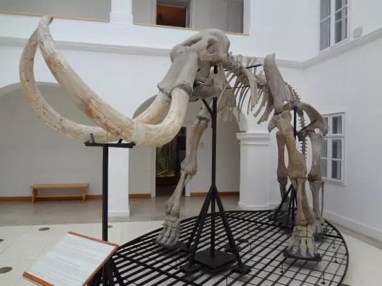 Matra Muzeum