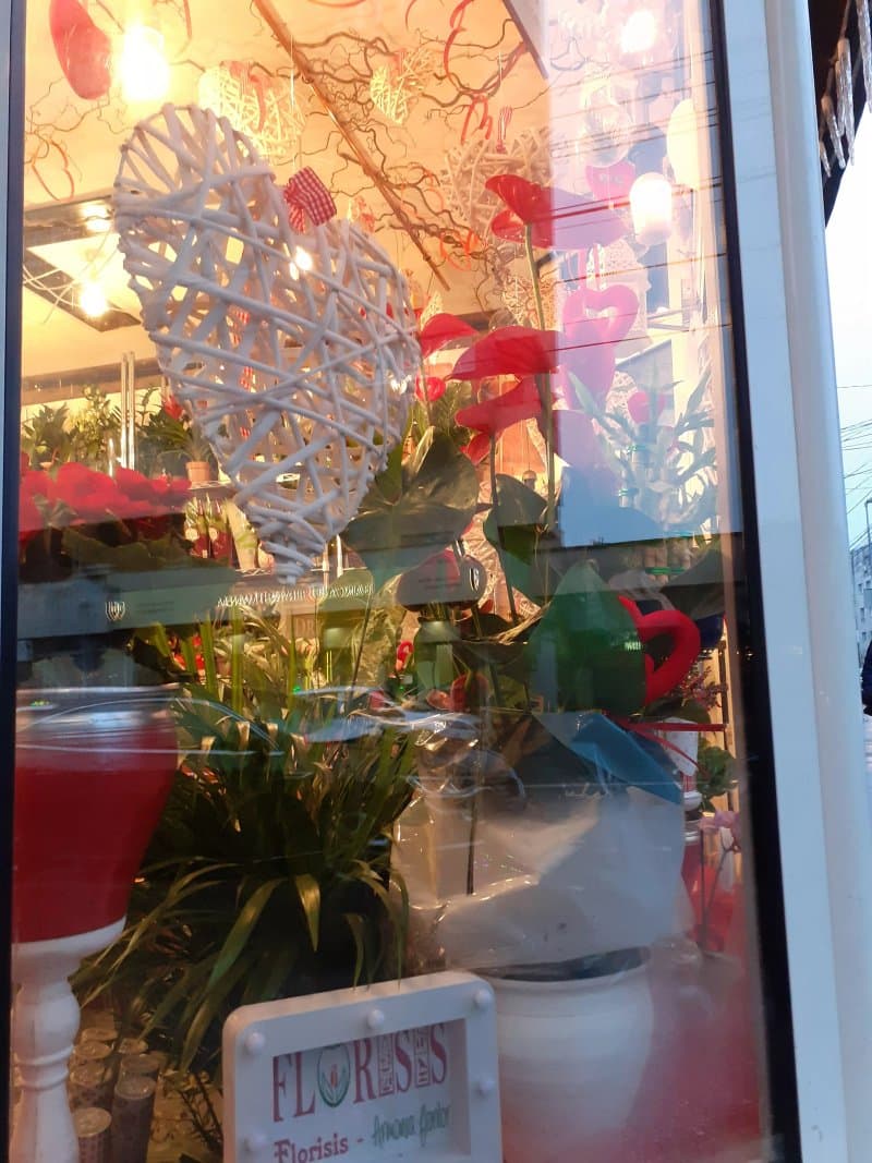 Florarie Cluj Florisis