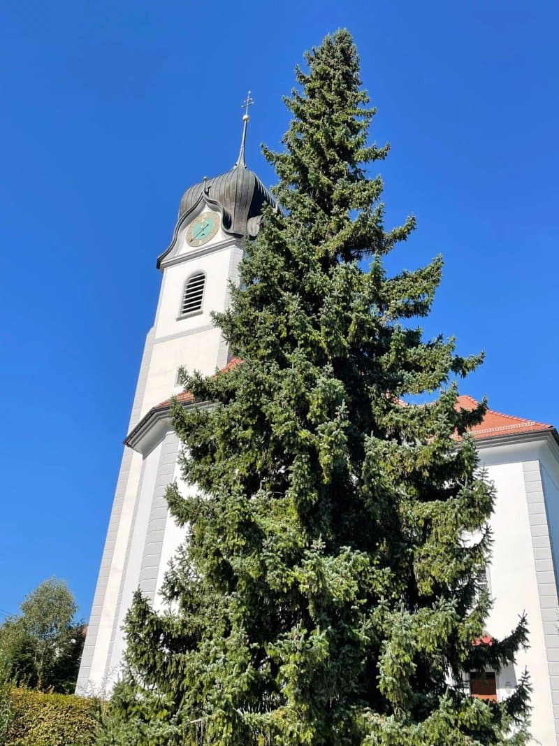 Eglise Notre-dame De Neuenburg-am-rhein