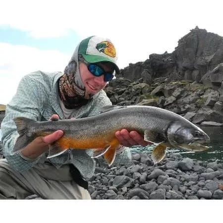 Fish Partner