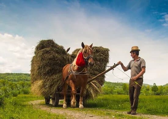 Experience Romania
