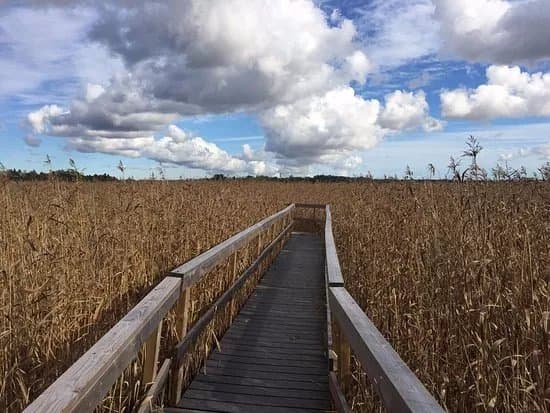 Laajalahti Nature Reserve
