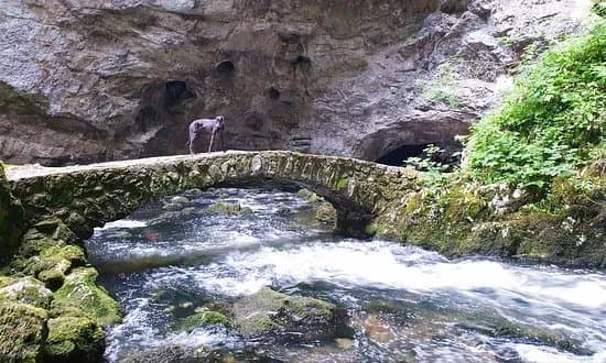 Rakov Skocjan Valley