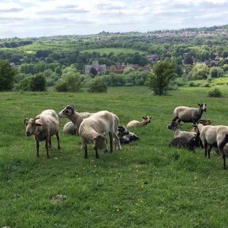 St Catherine's Hill