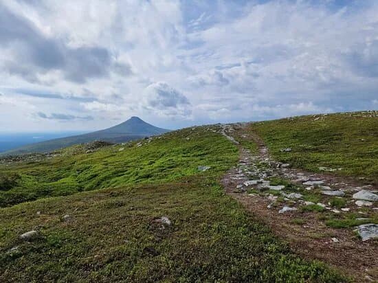 Nipfjallet