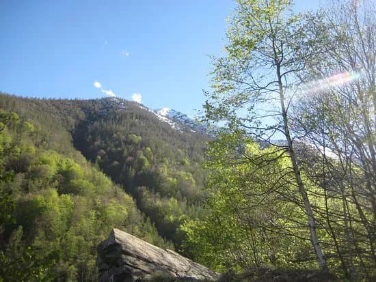 Loja Scura