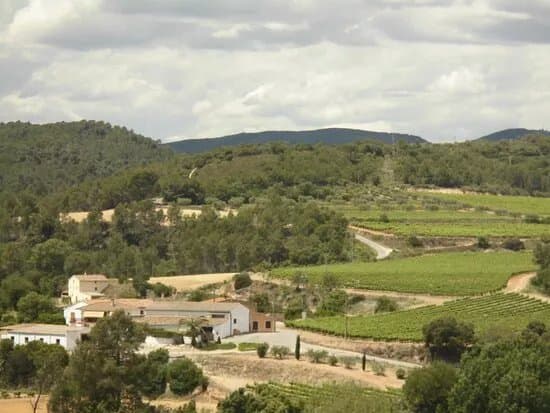 Celler Mas Dels Clavers