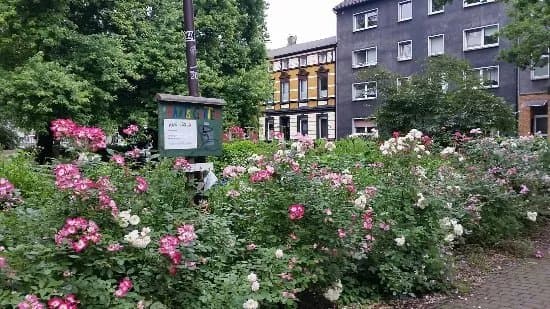 Immanuel Kant Park