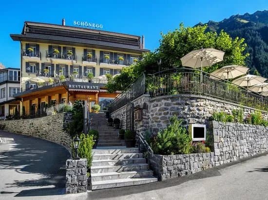 Hotel Schonegg