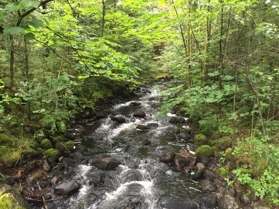 Uradalen og Bjodnalia