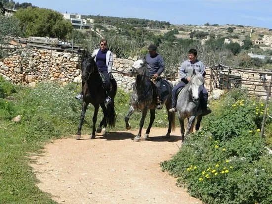 Bidnija Horse Riding