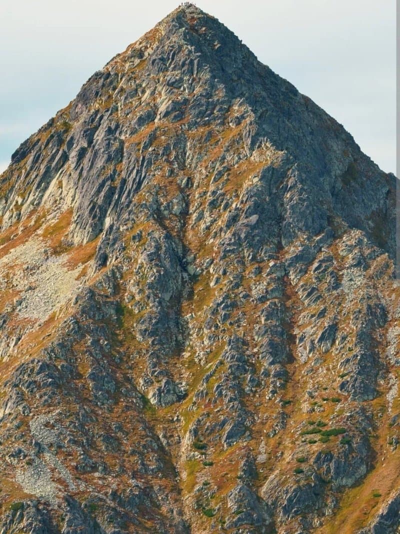 Jahnaci stit