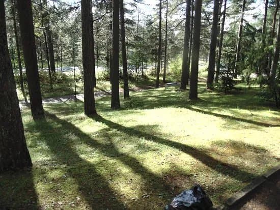 Metsakalmistu Cemetery