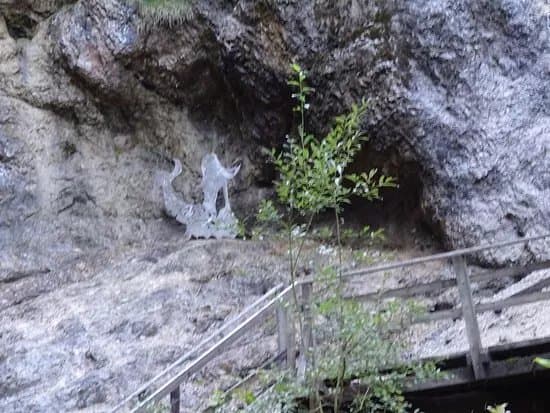 Nixenfall