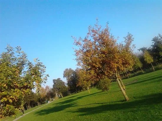 The Mall