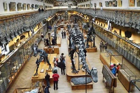 Galeries de Paleontologie et d'Anatomie Comparee