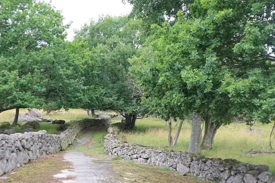 Eriksberg Wildlife Park