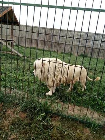 Zoo Wojciechow