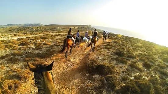 Golden Bay Horse Riding