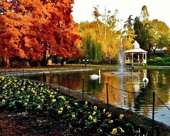 Danube Park