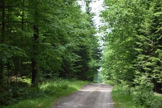 Sieradowicki Landscape Park
