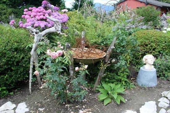 Jardin Instinctif