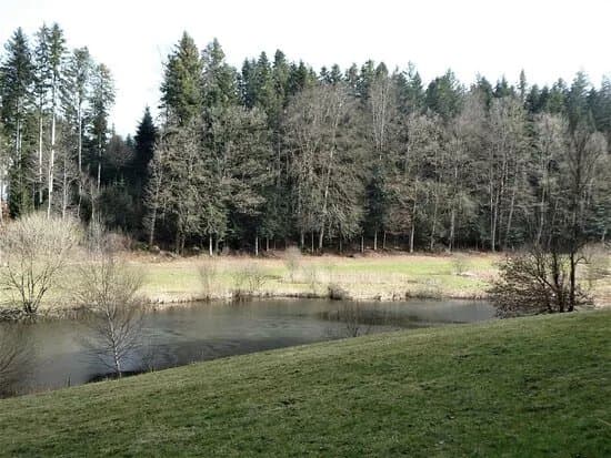 Weiherlandschaft Ostergau