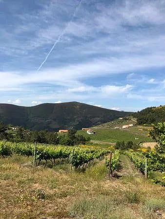 Quinta do Cume